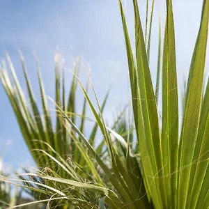 nashos-bungalows.albaniahotels.org/